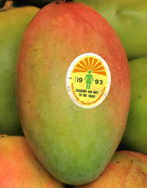 Girl Ripened Niels Bennett Skateboard Deck - 8.25