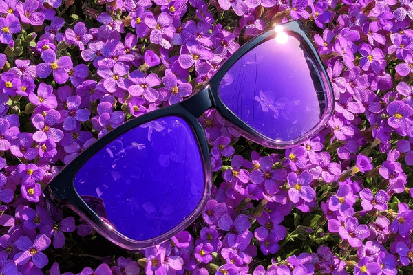 Luma Harlyn Sunglasses - Purple - Skatewarehouse.co.uk