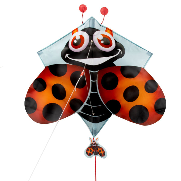 EOLO PopUp Kite Ladybug Toy