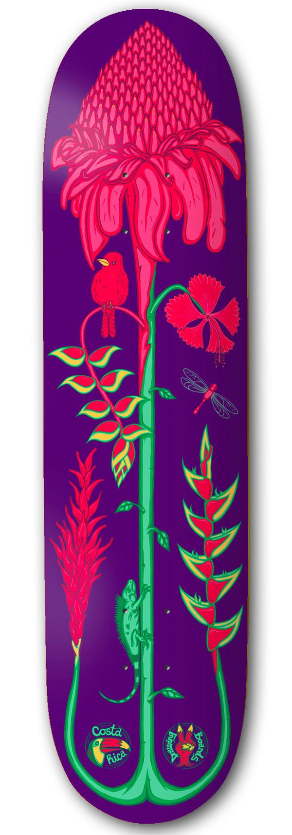 Drawing Boards Costa Rica Torch Ginger Skateboard Deck - 8.37