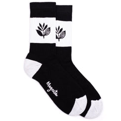 Magenta Stripe Socks Black / White
