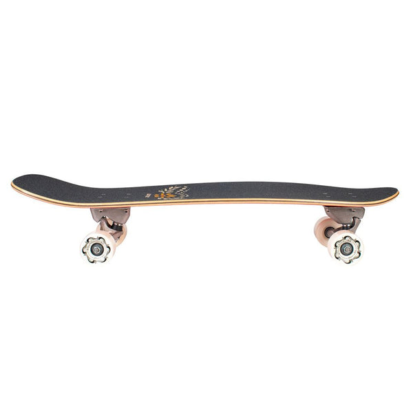 Carver Skateboards 31