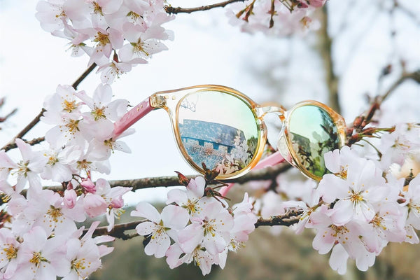 Luma Fowey Sunglasses - Pink - Skatewarehouse.co.uk