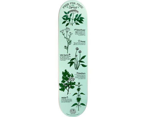 Drawing Boards Orangutan Skateboard Deck - 8.0