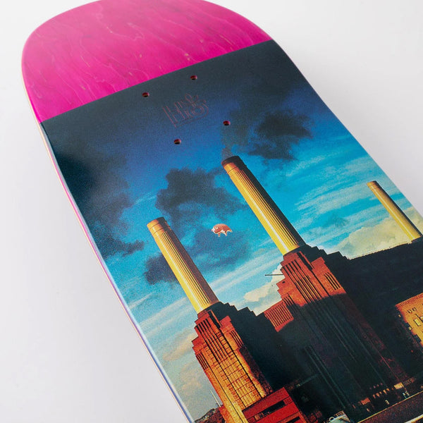 Habitat Animals (Egg Shape) Skateboard Deck - 8.75