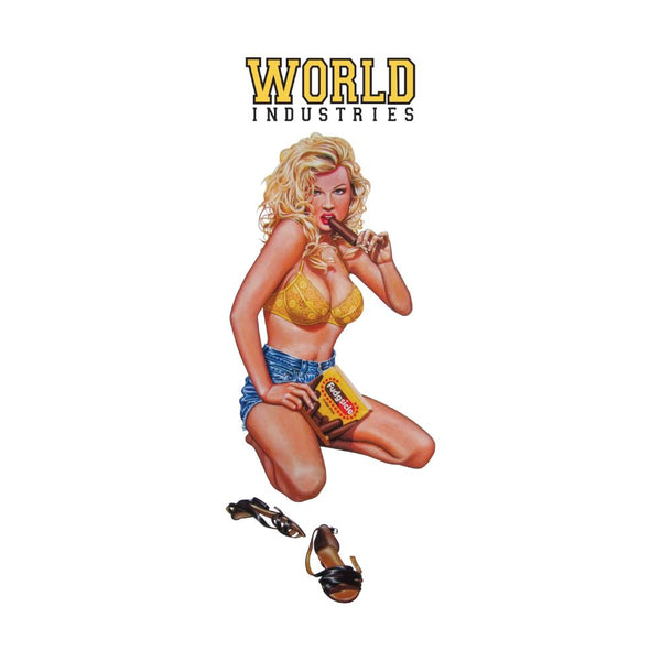 World Industries - Fudgesicle Sticker Multi 5PK